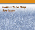 Subsurface Drip Systems
